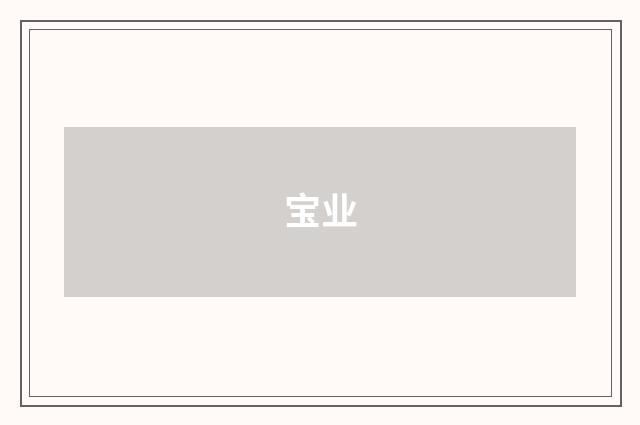 宝业