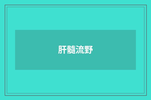 肝髓流野