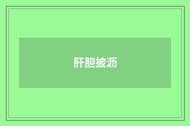 肝胆披沥