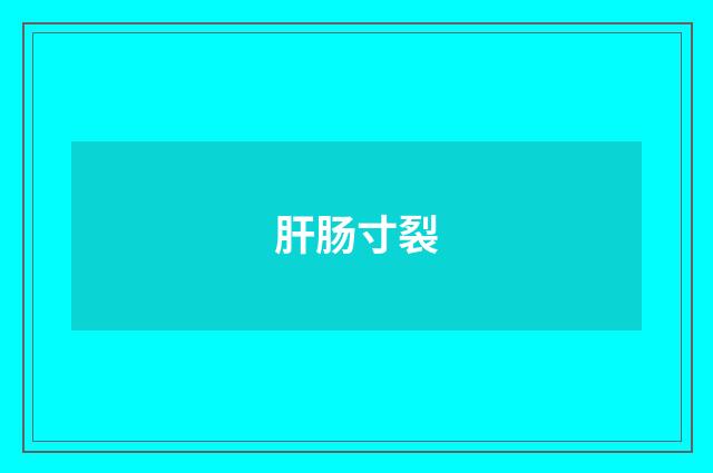 肝肠寸裂