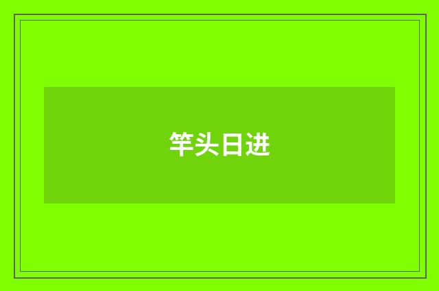 竿头日进