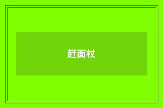 赶面杖