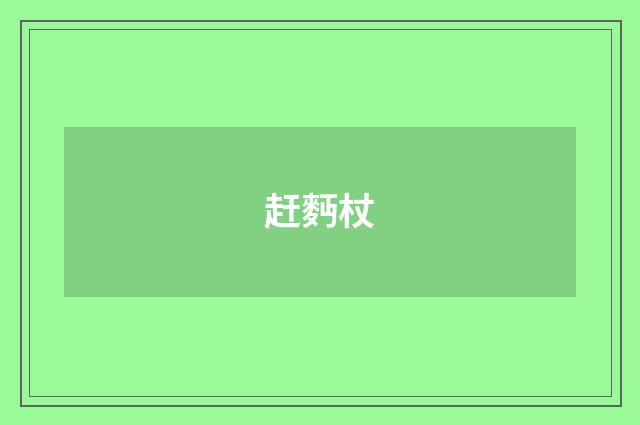 赶麪杖