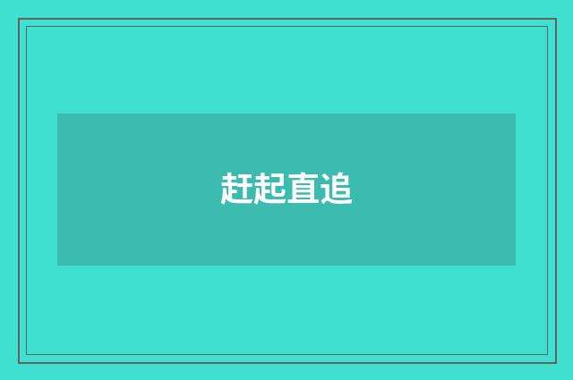 赶起直追