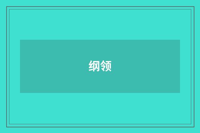 纲领
