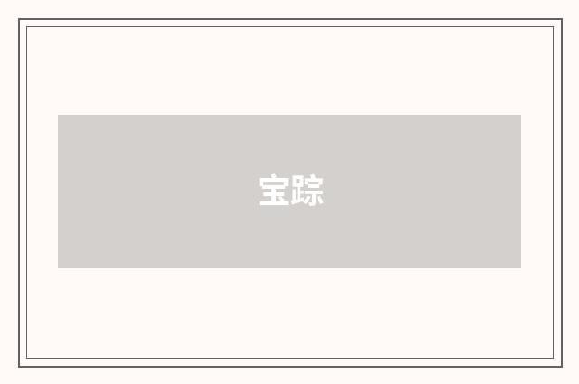 宝踪