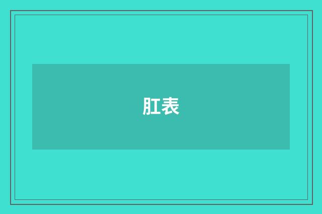 肛表