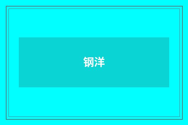 钢洋