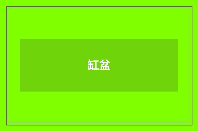 缸盆