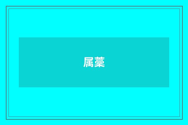 属藳