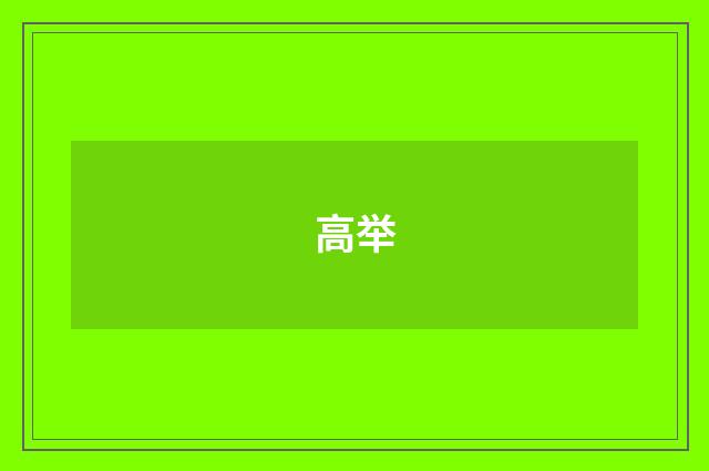高举
