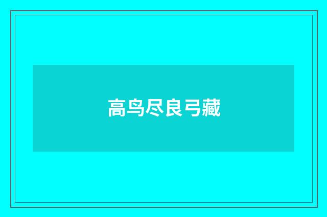 高鸟尽良弓藏