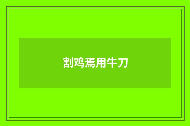 割鸡焉用牛刀