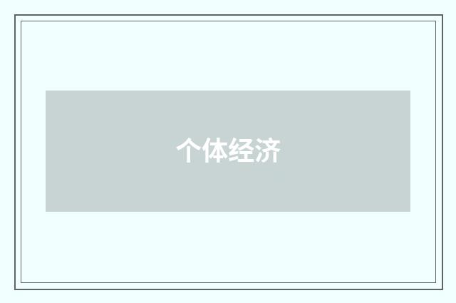 个体经济