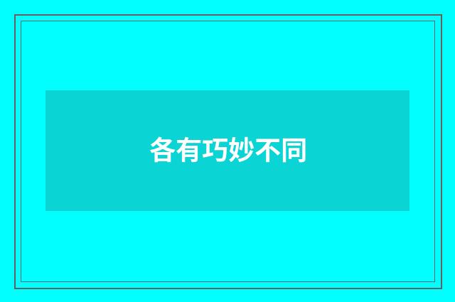 各有巧妙不同
