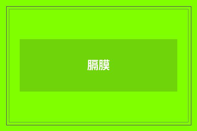 膈膜