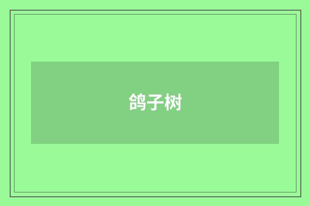 鸽子树