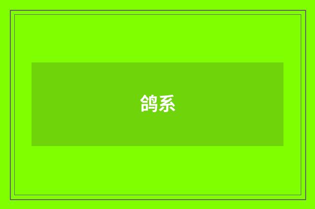 鸽系