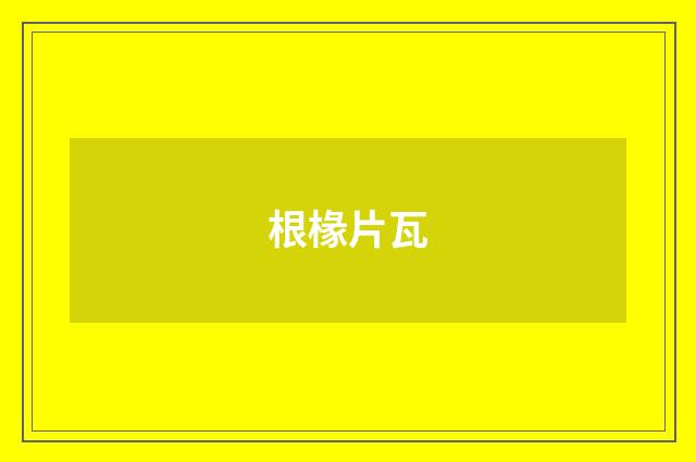 根椽片瓦