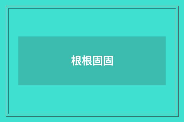 根根固固
