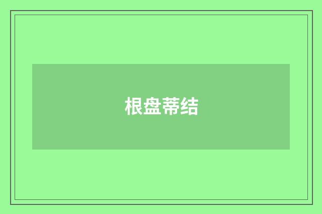根盘蒂结