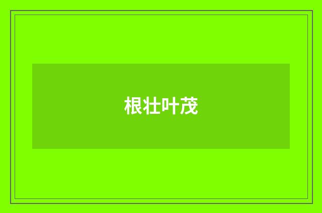 根壮叶茂