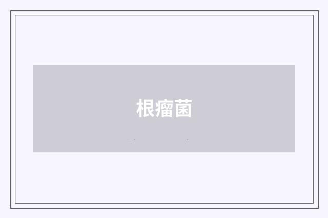 根瘤菌
