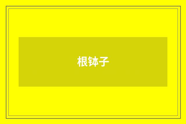 根钵子