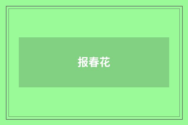 报春花