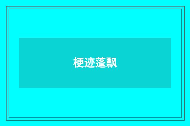 梗迹蓬飘