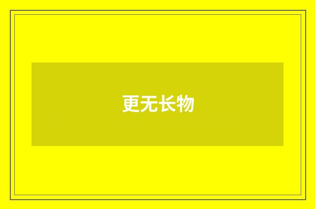 更无长物