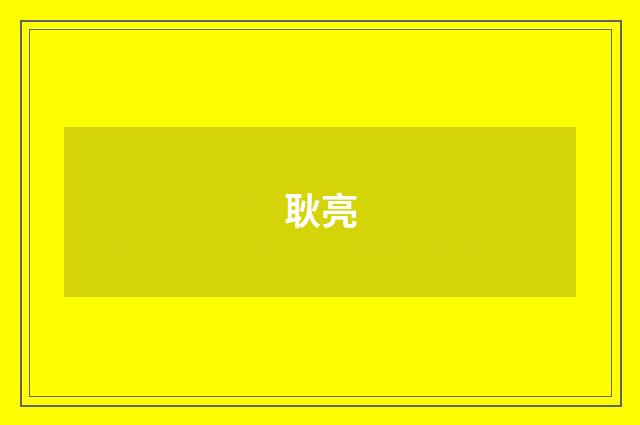 耿亮