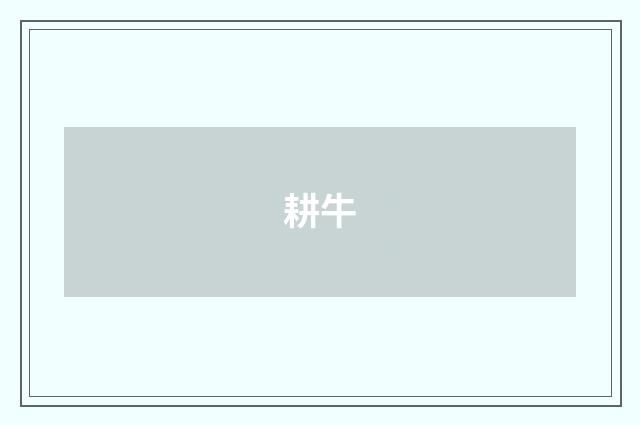 耕牛