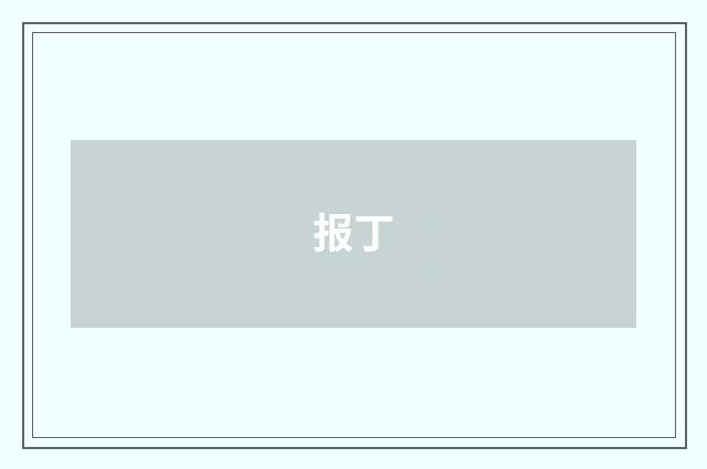 报丁