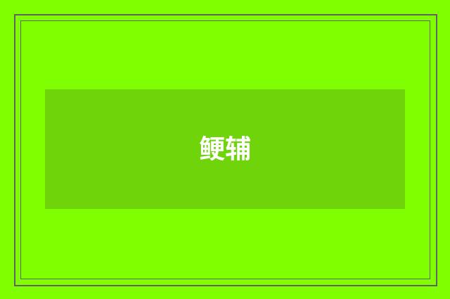 鲠辅
