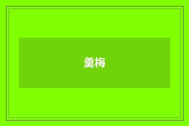 羹梅