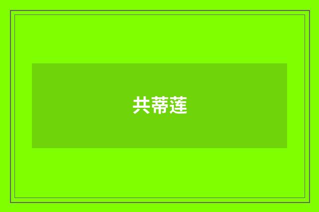 共蒂莲