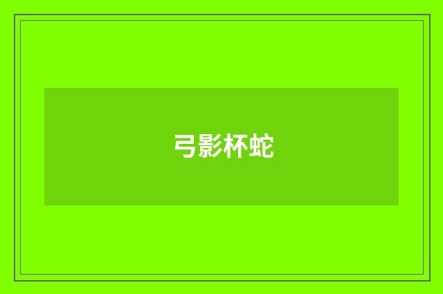 弓影杯蛇