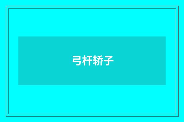 弓杆轿子