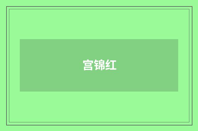 宫锦红