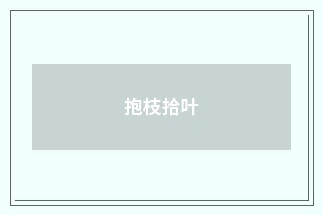 抱枝拾叶