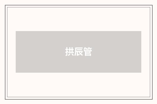 拱辰管