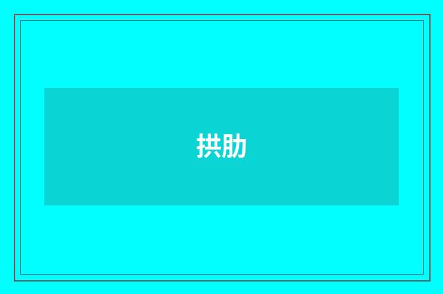 拱肋