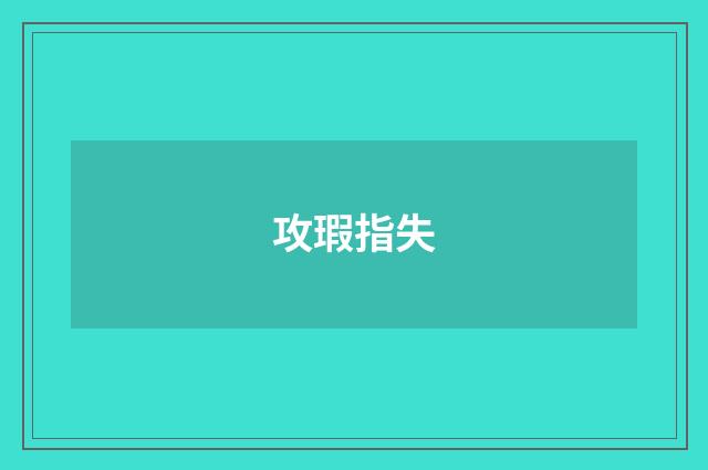 攻瑕指失
