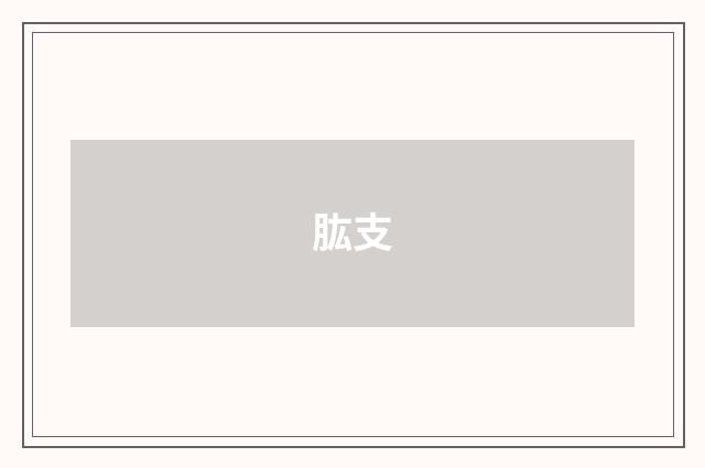 肱支