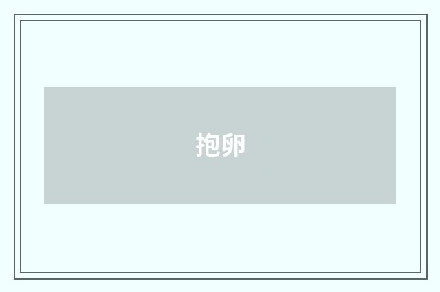 抱卵