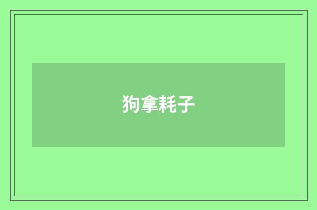 狗拿耗子