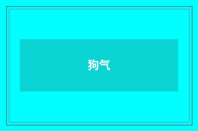 狗气