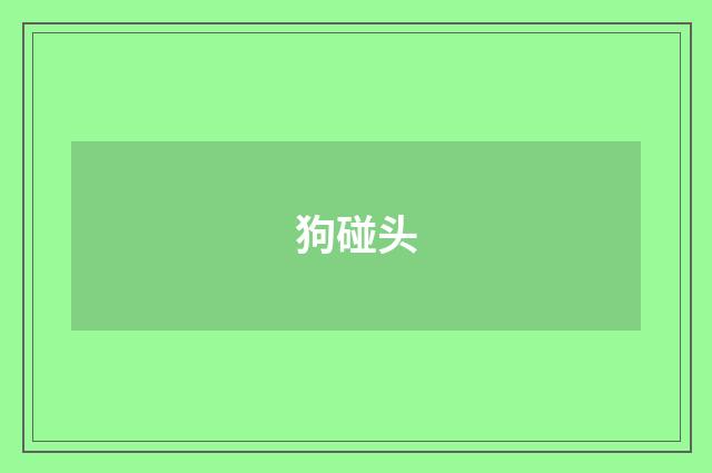 狗碰头