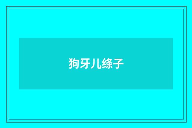 狗牙儿绦子